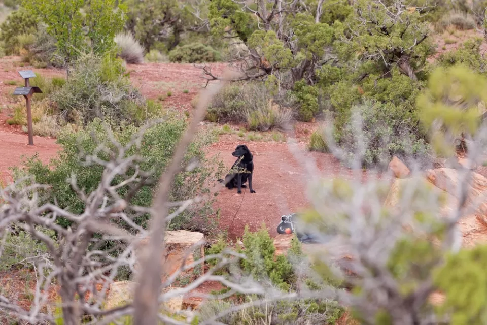 Wilderness Trails